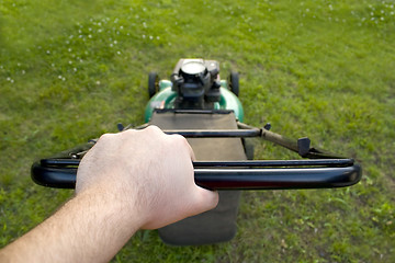 Image showing Push Lawn Mower