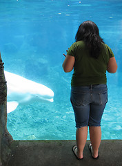 Image showing beluga gaze