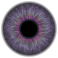Image showing Purple Eye Iris