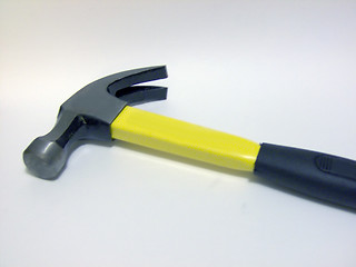 Image showing A Yellow Hammer