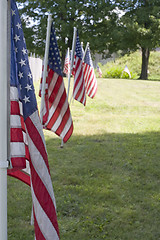 Image showing Row of Flags