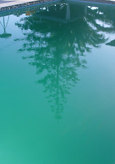 Image showing Reflection