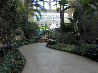 Image showing Interior Tropical Pathway