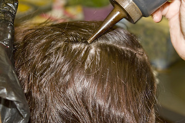 Image showing Hair Color