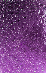 Image showing Water Droplets