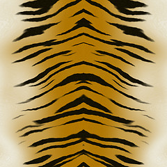 Image showing tiger skin