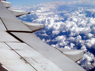 Image showing Wing