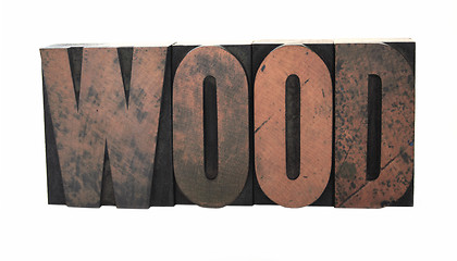 Image showing wood word