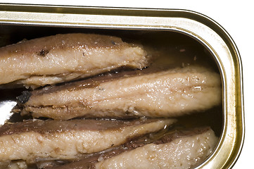 Image showing sardines skinless boneless