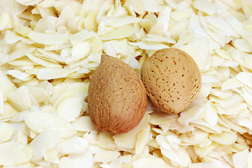 Image showing Slivered almonds