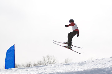 Image showing Ski Jumper