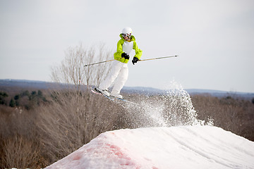 Image showing Ski Jumper