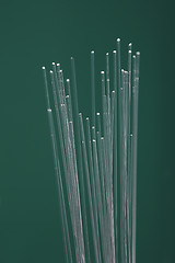 Image showing Optical fibers