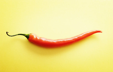 Image showing Pepper