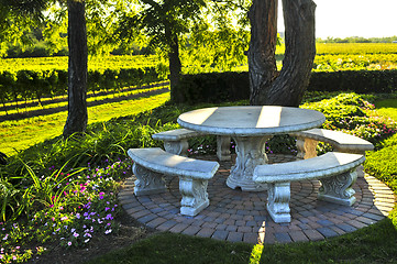 Image showing Benches overlooking vineyard