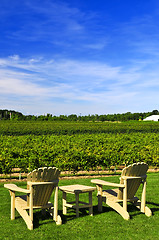 Image showing Chairs overlooking vineyard