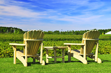 Image showing Chairs overlooking vineyard