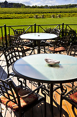 Image showing Patio overlooking vineyard