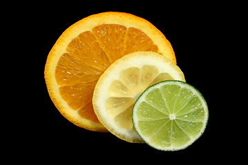 Image showing Citrus Slices