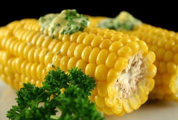 Image showing Fresh Corn 4