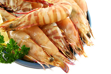 Image showing Fresh Green Shrimps