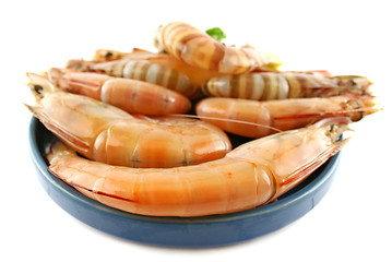 Image showing Fresh Green Shrimps