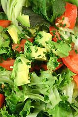 Image showing Fresh Avocado Salad