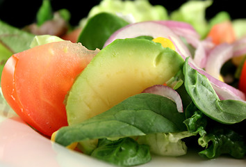 Image showing Salad Background 6