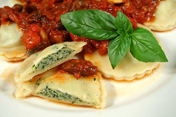 Image showing Delicious Chicken And Spinach Ravioli