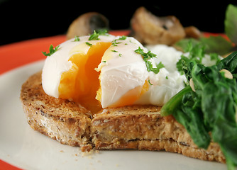 Image showing Sliced Poached Egg