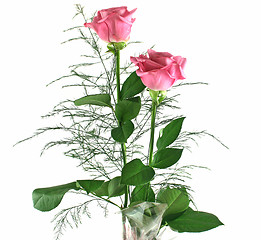 Image showing Gift Roses 4