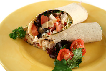 Image showing Chicken Salad Wrap 1