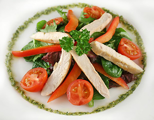 Image showing Chicken Pesto Salad