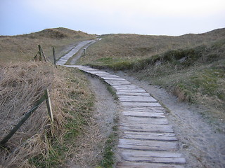 Image showing Pathway to beach