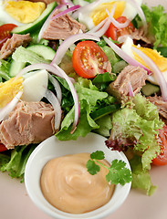 Image showing Tuna Salad And Dip