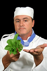 Image showing Herb Chef 2