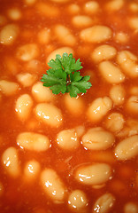 Image showing Parsley In A Sea Of Baked Beans