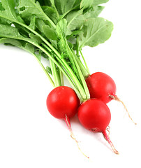 Image showing Fresh Harvested Radish