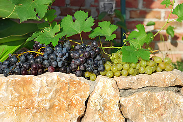 Image showing grapes over stone fence