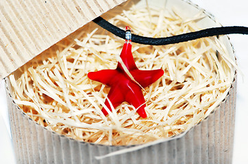 Image showing red starfish necklace