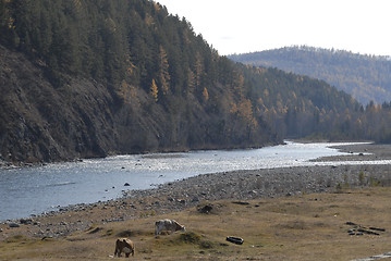 Image showing Siberia 55