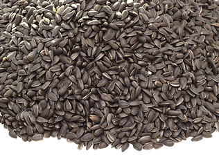 Image showing black sunflower seeds