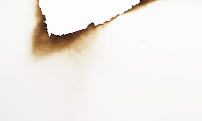 Image showing burnt paper