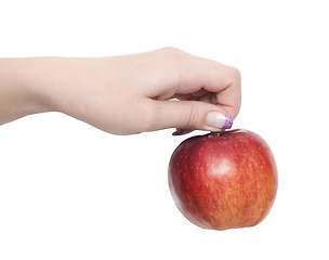 Image showing hand holding apple