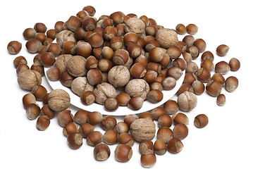 Image showing hazelnuts and walnuts in plate