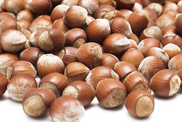 Image showing hazelnuts over white
