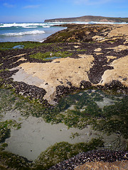 Image showing Rockpools