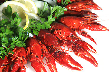 Image showing Fresh seafood with herb and lemon on a plate