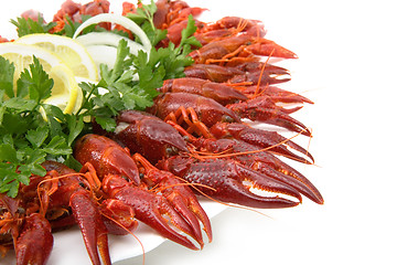 Image showing Fresh seafood with herb and lemon on a plate