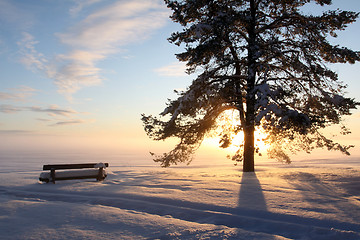 Image showing park bench covered with snow 